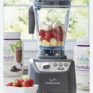Vida Sana Gray Blender with Fruit